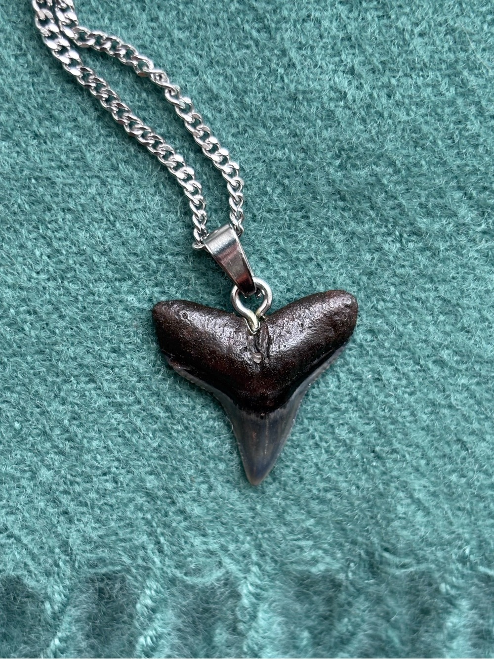 NWOT- Genuine bull shark fossilized Tooth Pendant Necklace - Unisex Jewelry